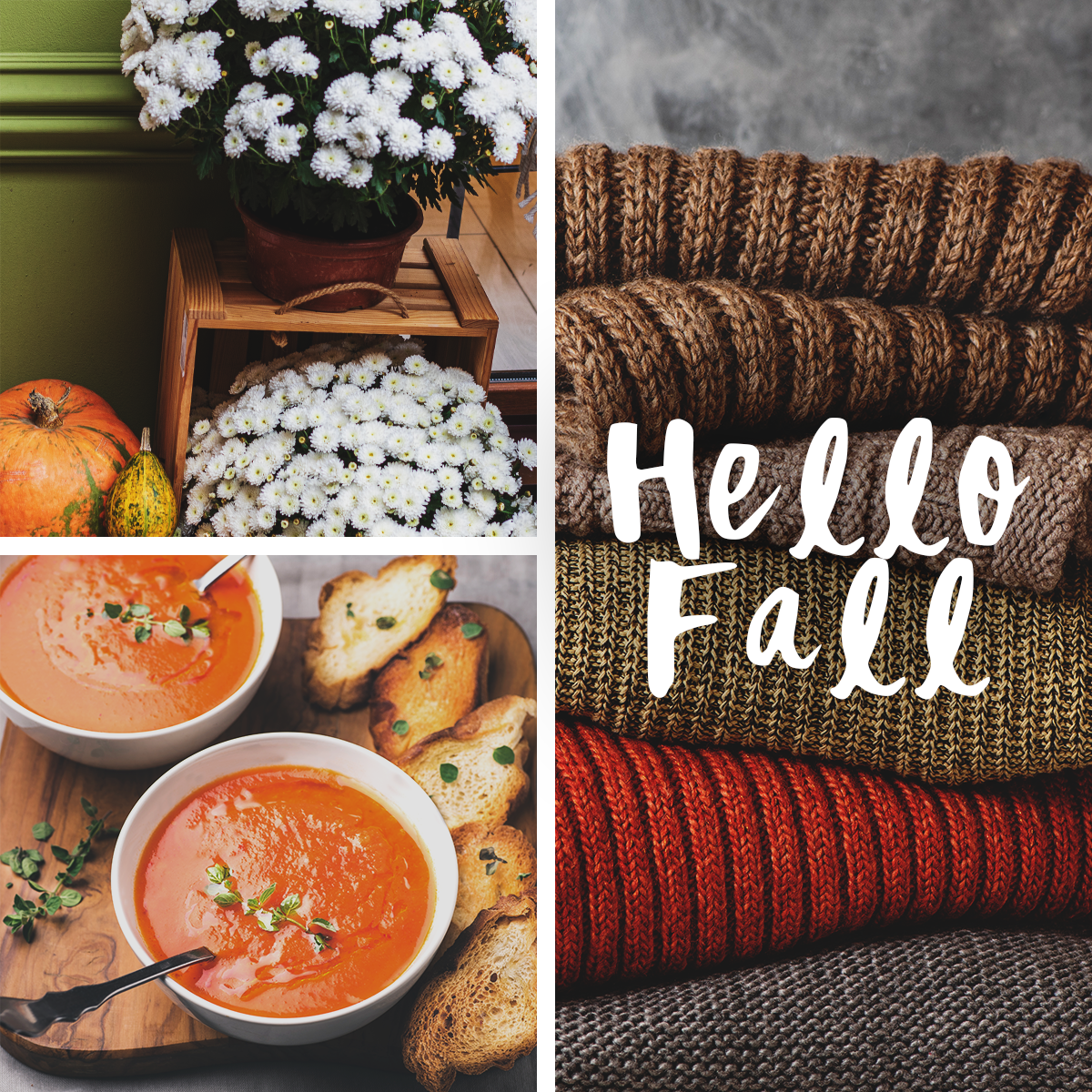 Mums, Soup and Sweaters all the elements of Fall